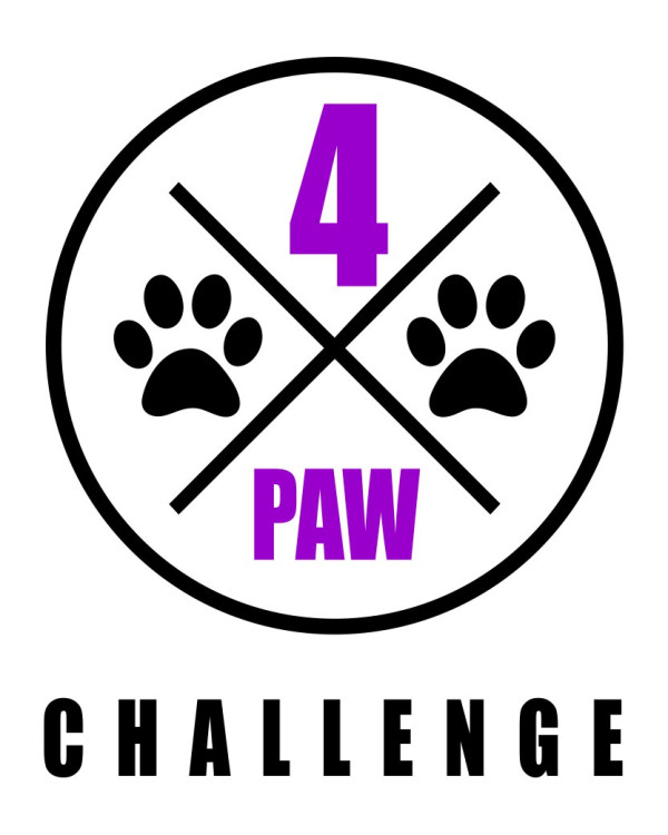 4xPaw Challenge Hoody #2