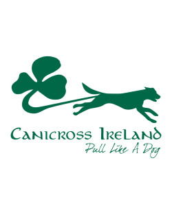 CI Ladies Cool Vest CI Ladies Cool Vest