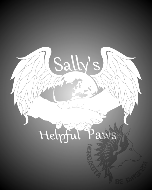 SHP Ladies V-Neck T-shirt