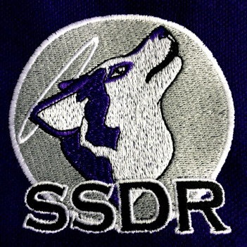 Saints (SSDR)