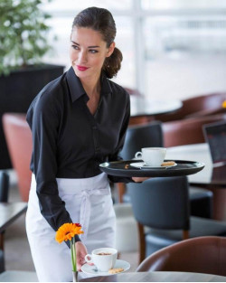 Henbury Ladies Quick Dry L/S Shirt