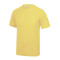 Sherbet Tee (JC001) 