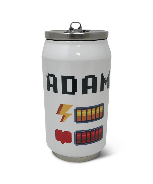 Double Wall 9oz Stainless Steel Can w/ Straw