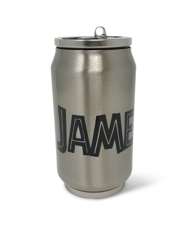 Double Wall 9oz Stainless Steel Can w/ Straw