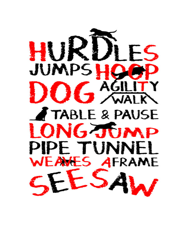 Alphabet Agility Alphabet Agility