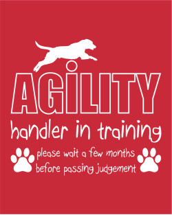 Handler in Training