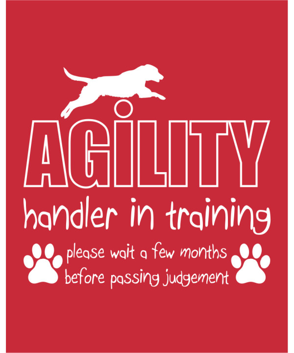 Handler in Training