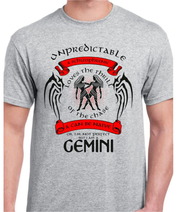 Gemini (20 May – 20 Jun) Gemini (20 May – 20 Jun)