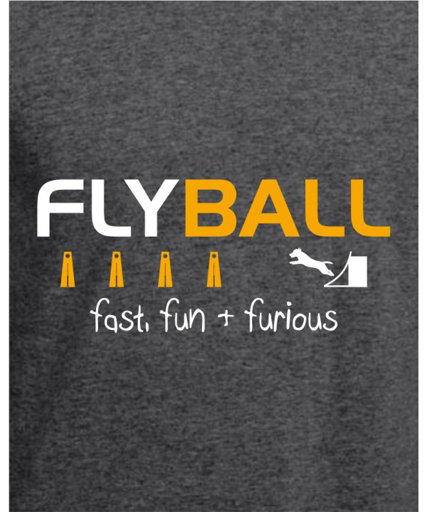 Fast Fun & Furious Fast Fun & Furious