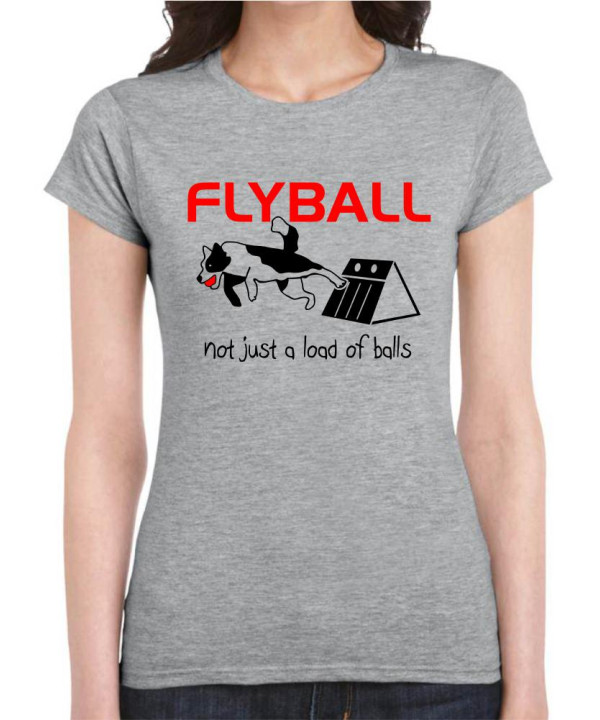 Flyball Collie