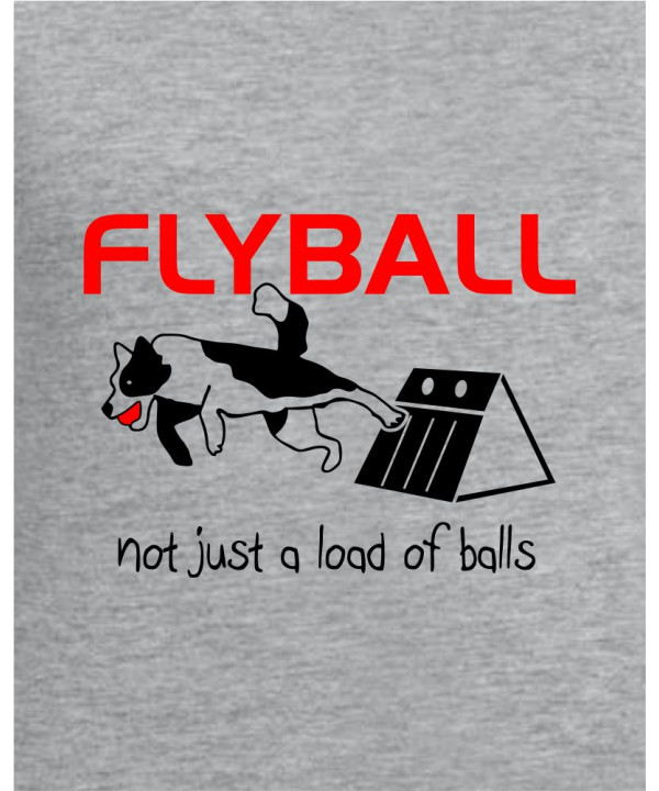 Flyball Collie