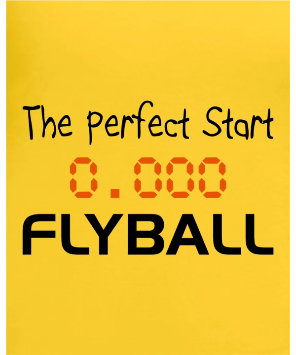 The Perfect Start The Perfect Start