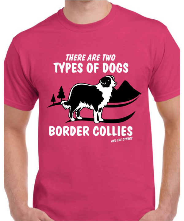 Two Types of Dog - Collie