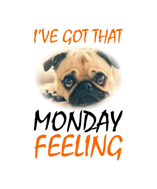 Monday Feeling HD