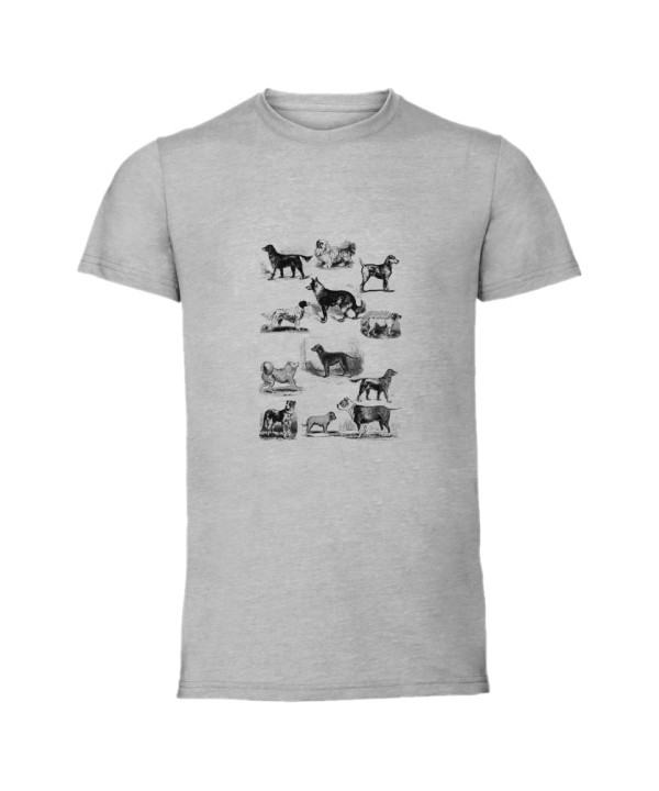 Vintage Dogs HD