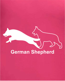 GSD Walk/Run