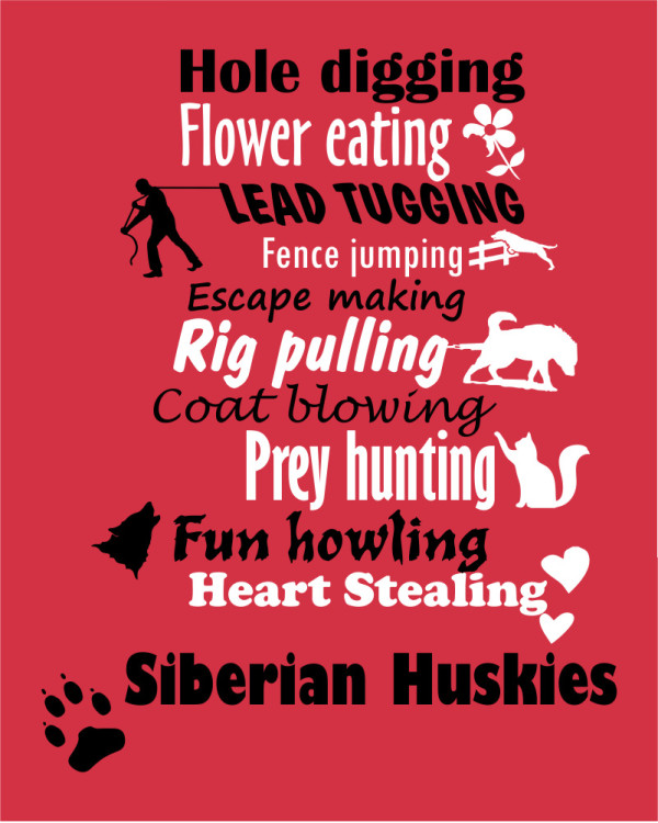 Heart Stealing Huskies