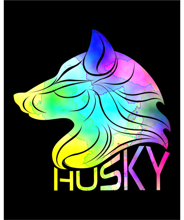 Abstract Rainbow Head