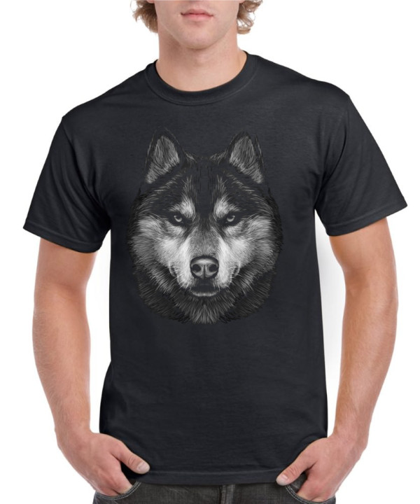 Black and White Husky face