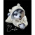Too Cute Husky Too Cute Husky