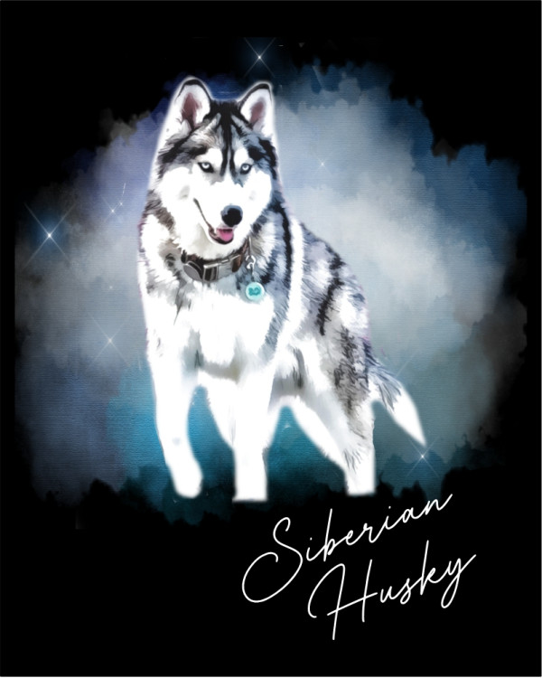 Husky Standing Watercolour