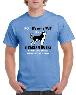 Its Not A Wolf