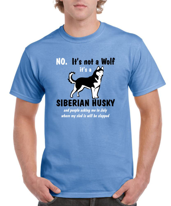 Its Not A Wolf
