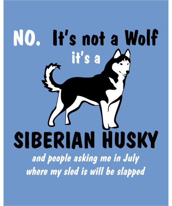 Its Not A Wolf