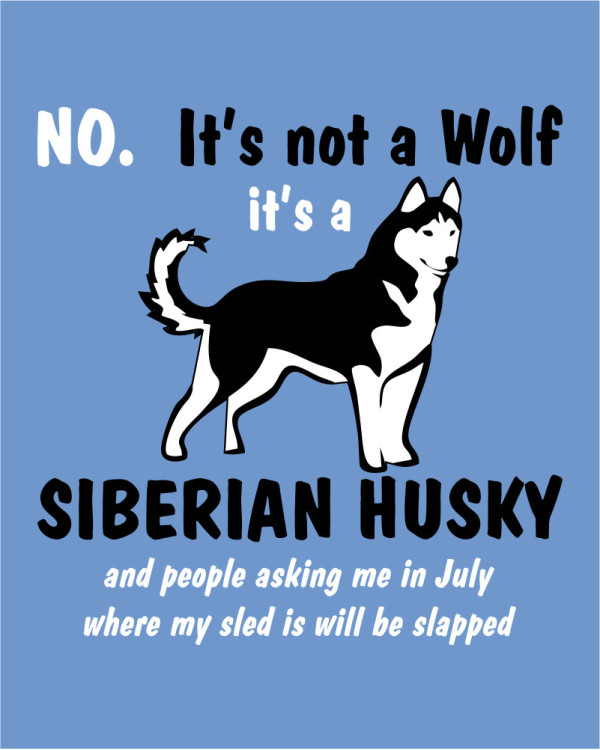 Its Not A Wolf
