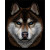 Red Husky Face