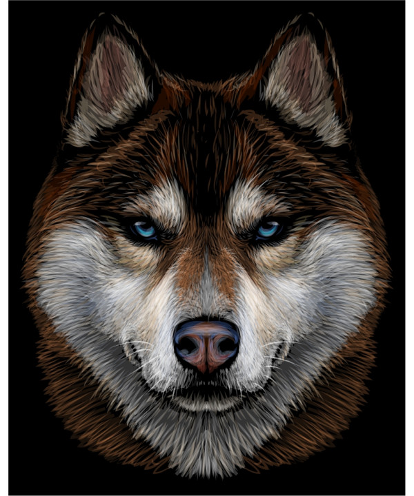 Red Husky Face