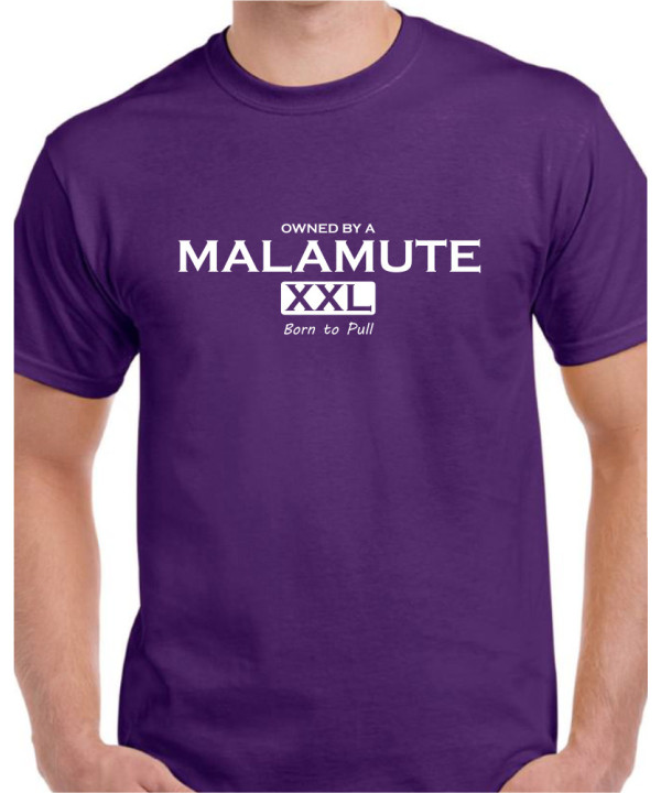 Malamute XXL Malamute XXL