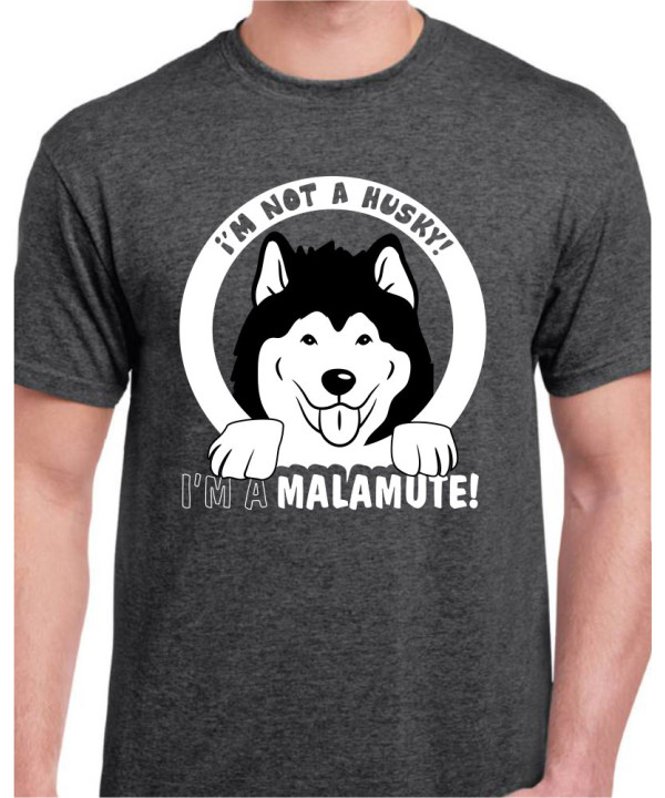 Not A Husky