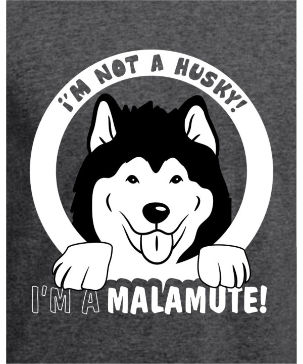 Not A Husky