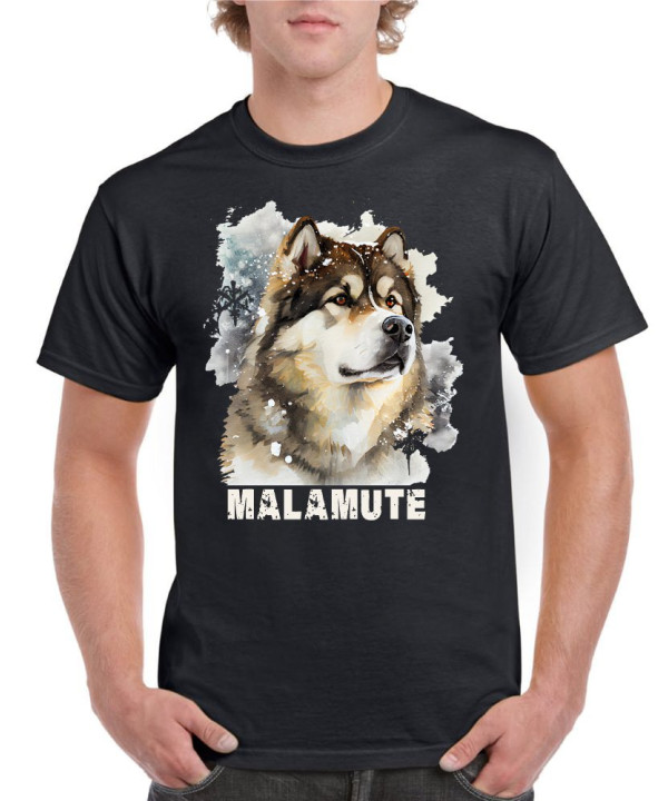 Snowy Malamute 02 Snowy Malamute 02