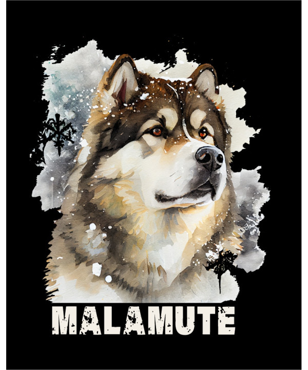Snowy Malamute 02 Snowy Malamute 02
