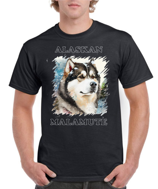 Snowy Malamute 05