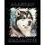 Snowy Malamute 05