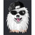 Sammy Cool