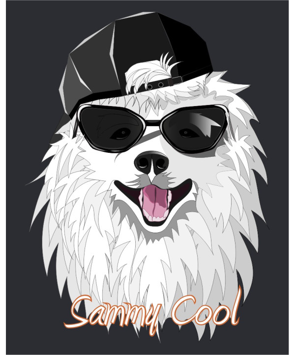 Sammy Cool Sammy Cool