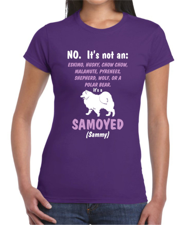It's a Samoyed It's a Samoyed