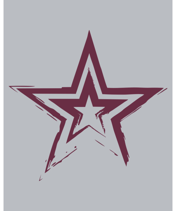Fading Star Ladies Hoody Dress