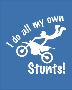 I Do My Own Stunts