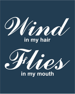 Wind In My Hair