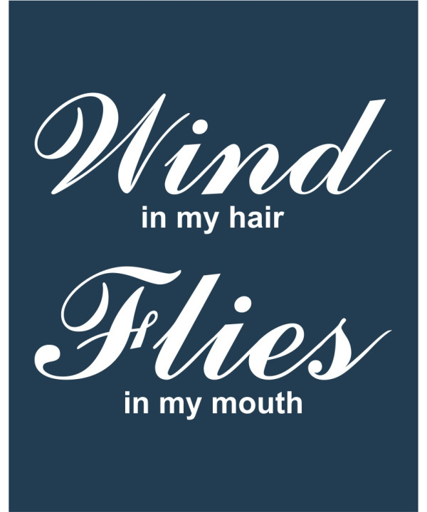 Wind In My Hair
