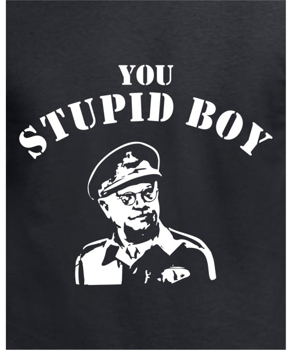 Stupid Boy