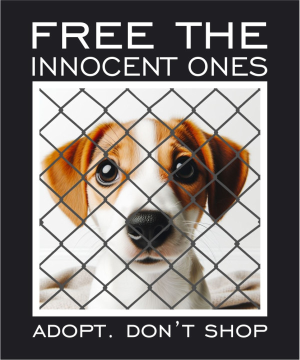 Free the innocent