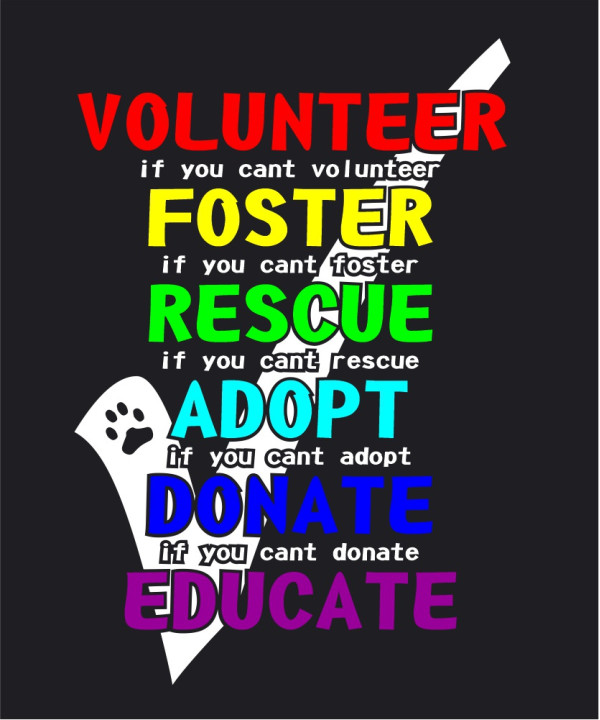 If you can't volunteer