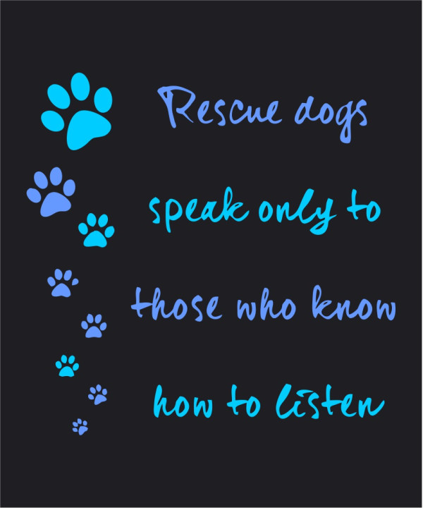 Rescue dogs speak