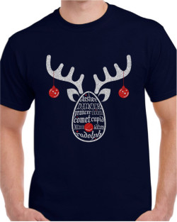 Santas Reindeer
